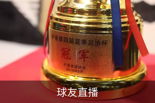 球友直播公司简介配图